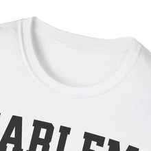 Load image into Gallery viewer, SS T-Shirt, Harlem Blocked
