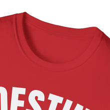 Load image into Gallery viewer, SS T-Shirt, FL Destin - Multi Colors
