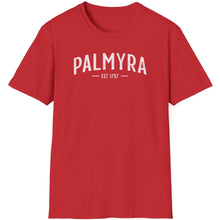 Load image into Gallery viewer, SS T-Shirt, Palmyra - Multi Colors
