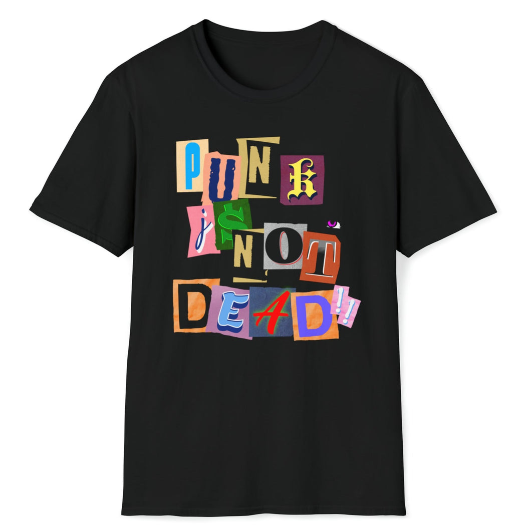 SS T-Shirt, Punk Is Not Dead