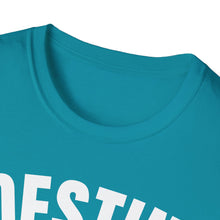 Load image into Gallery viewer, SS T-Shirt, FL Destin - Multi Colors
