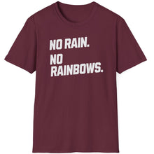 Load image into Gallery viewer, SS T-Shirt, No Rain. No Rainbows. - Multi Colors
